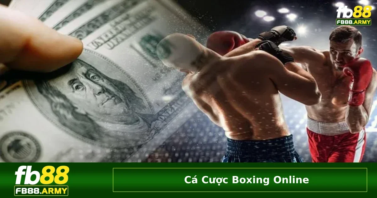 Cá Cược Boxing Online FB88 – Trận Chiến Hấp Dẫn, Cược Knock-out Đầy Cảm Xúc 3 Những giải đấu boxing trong khu vực tại châu Á và Việt Nam