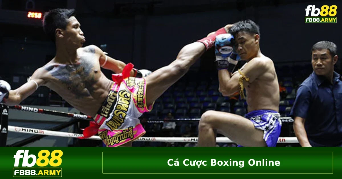 Cá Cược Boxing Online FB88 – Trận Chiến Hấp Dẫn, Cược Knock-out Đầy Cảm Xúc 2 Tổng hợp các giải đấu boxing được hỗ trợ tại FB88